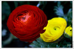 120316_DSF0752