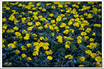 120316_DSF0754