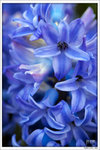 120316_DSF0755
