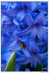 120316_DSF0758