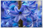 120316_DSF0761