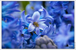 120316_DSF0762