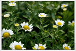 120316_DSF0764