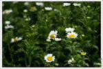 120316_DSF0765