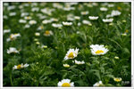 120316_DSF0766
