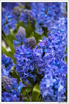 120316_DSF0768