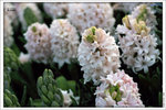 120316_DSF0769