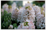 120316_DSF0770