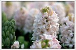 120316_DSF0771