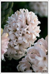 120316_DSF0775