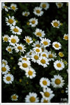 120316_DSF0782
