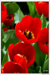 120316_DSF0793