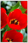 120316_DSF0794