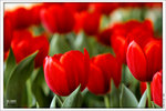 120316_DSF0796