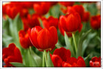 120316_DSF0797