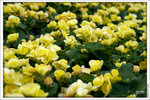 120316_DSF0805
