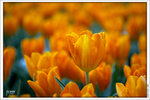 120316_DSF0808
