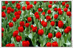 120316_DSF0809