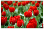 120316_DSF0810