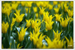 120316_DSF0811