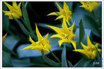 120316_DSF0812