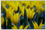 120316_DSF0813