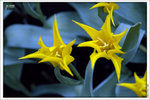 120316_DSF0814