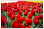 120316_DSF0826