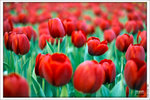 120316_DSF0827