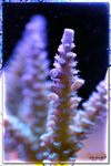 PNG0065