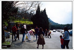 Scan-110219-0005