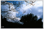 Scan-110219-0006