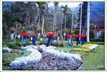 Scan-110219-0014