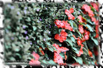 PNG0023