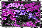 PNG0030