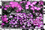 PNG0031