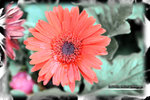 PNG0064