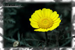 PNG0074