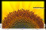 PNG0077