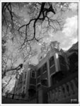 R0010466BW