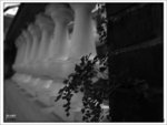 R0010467
