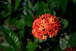 _DSC0055
