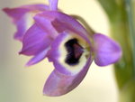 PNG0091