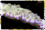 PNG0002