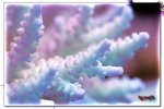 PNG0012