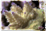 PNG0014