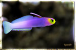 PNG0059