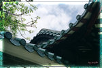 Scan-100819-0002
