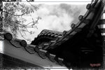 Scan-100819-0002BW