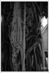 Scan-100822-0015